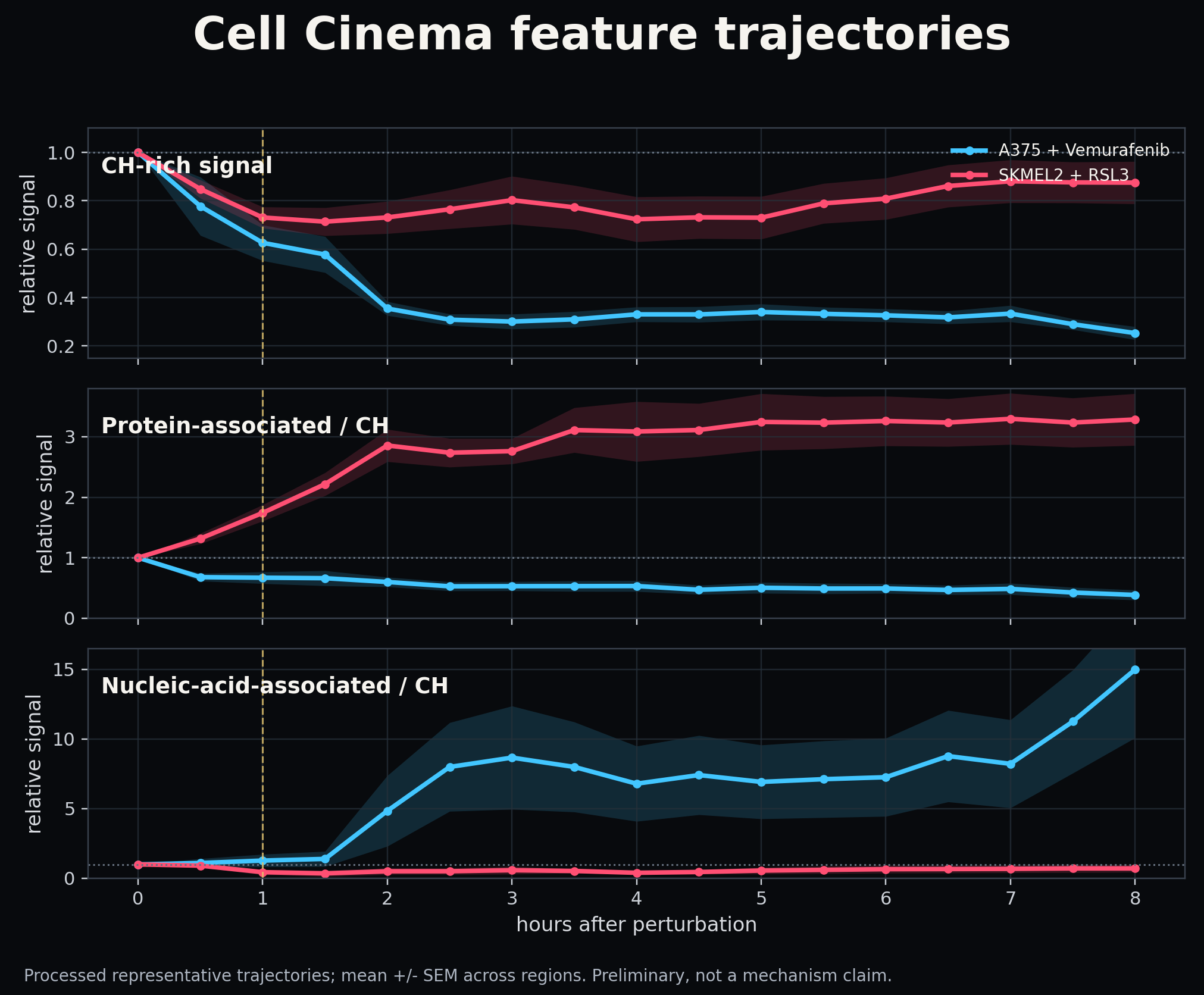 Processed Cell Cinema feature trajectories