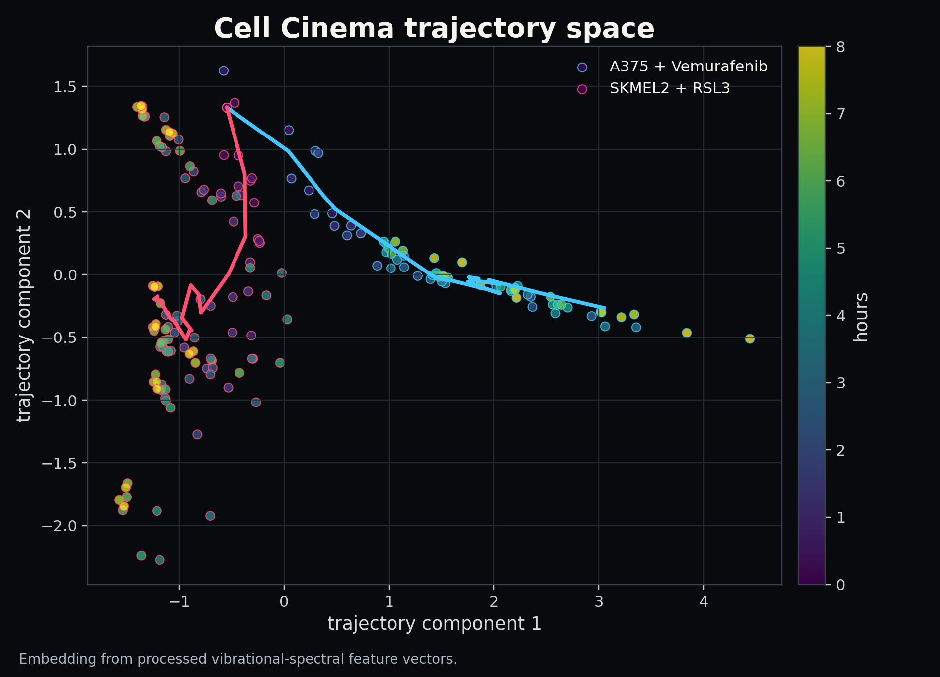 Cell Cinema trajectory embedding
