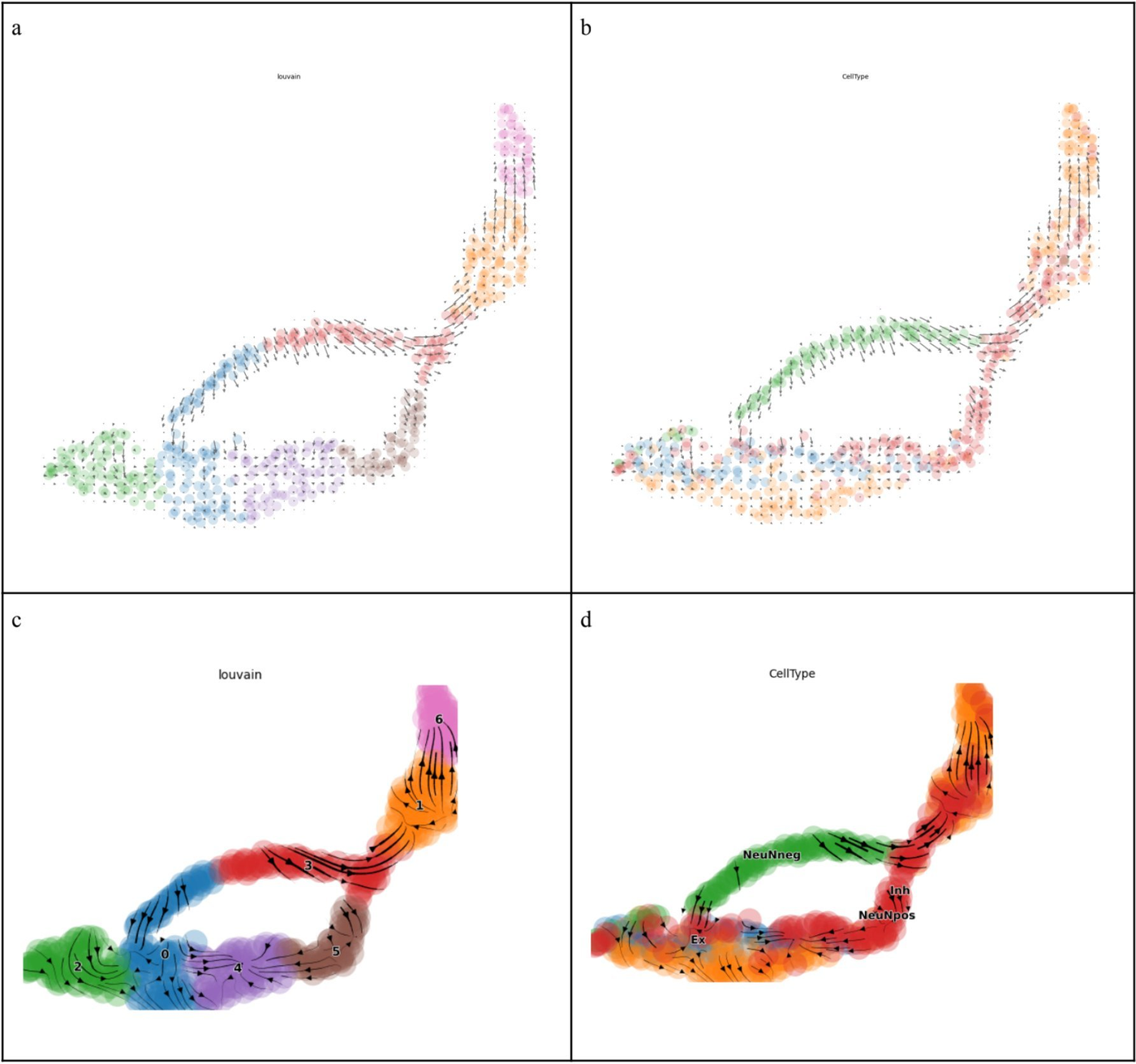 Four HMCVelo plots showing model-inferred directions across sampled cells.