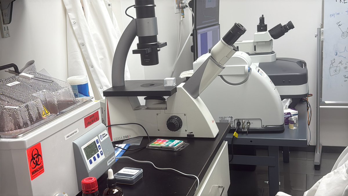 Microscopes and other laboratory equipment on the Precigenetics bench in July 2025.