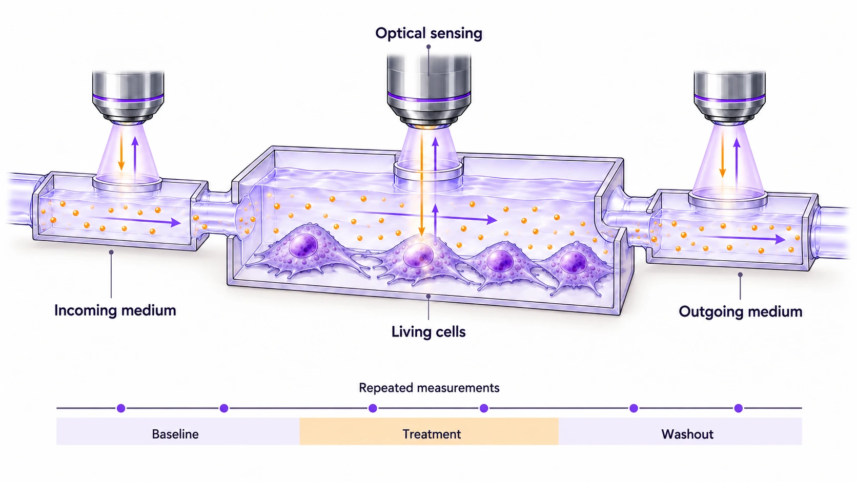 Connected inlet, living-cell chamber and outlet with optical sensing at all three locations and measurements during baseline, treatment and washout.
